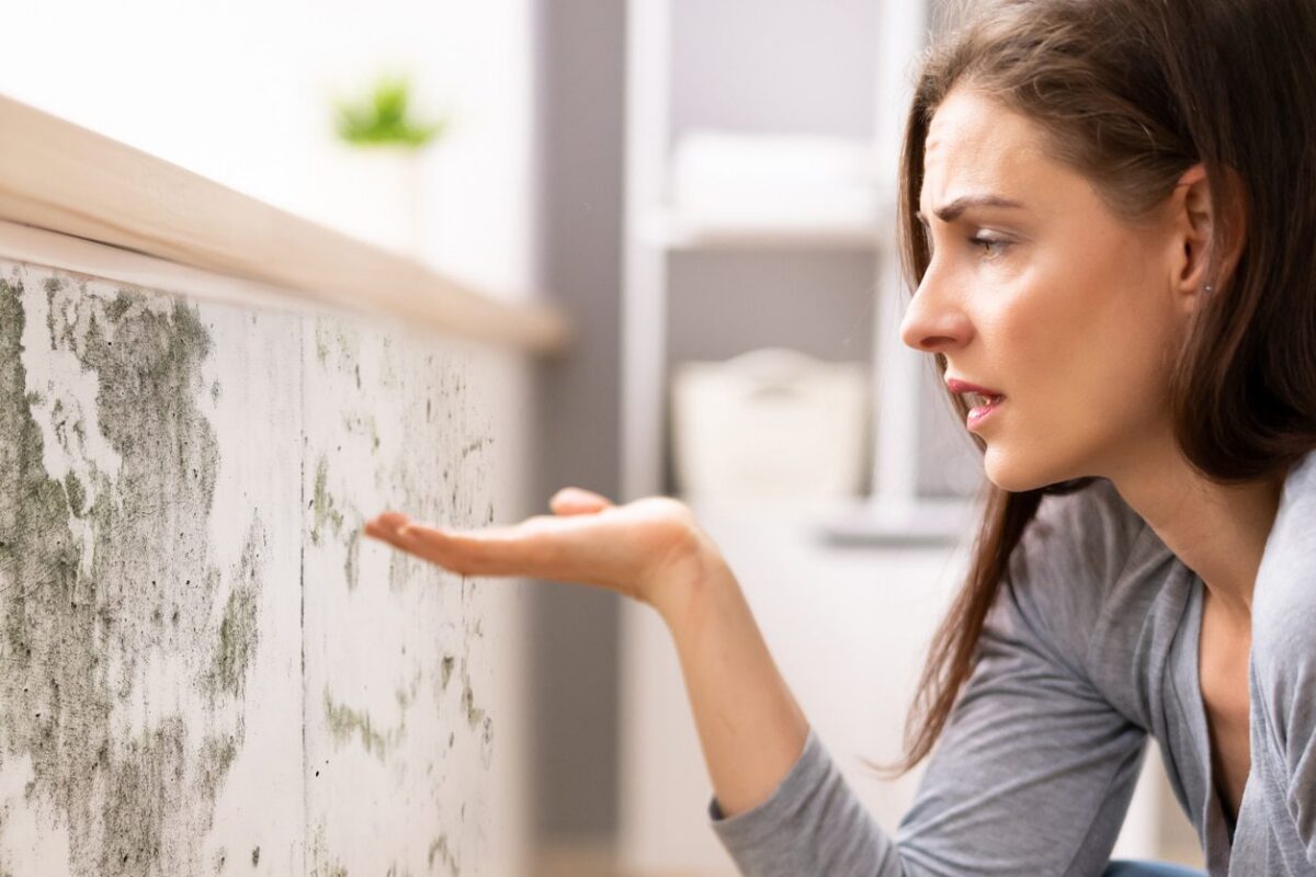 Mold inspection and mold remediation service in Saratoga County for residential wall mold damage