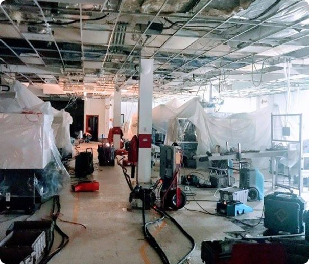 Commercial Restoration