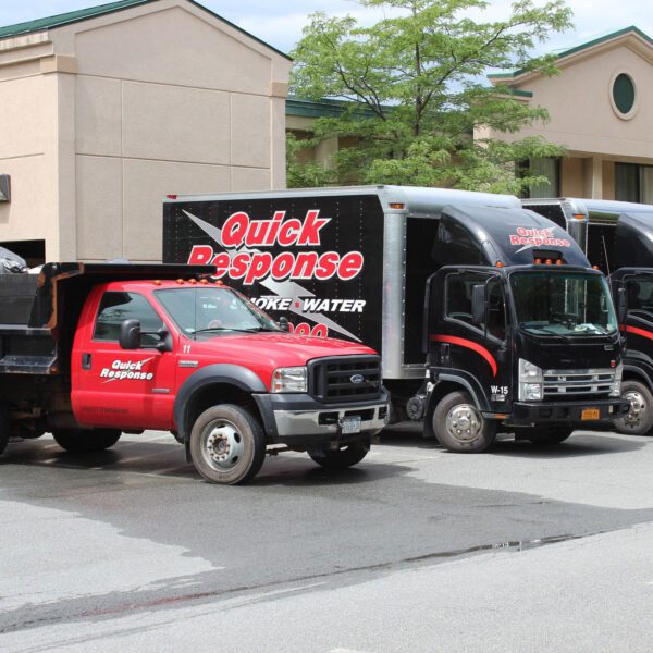 Commercial Mold Remediation