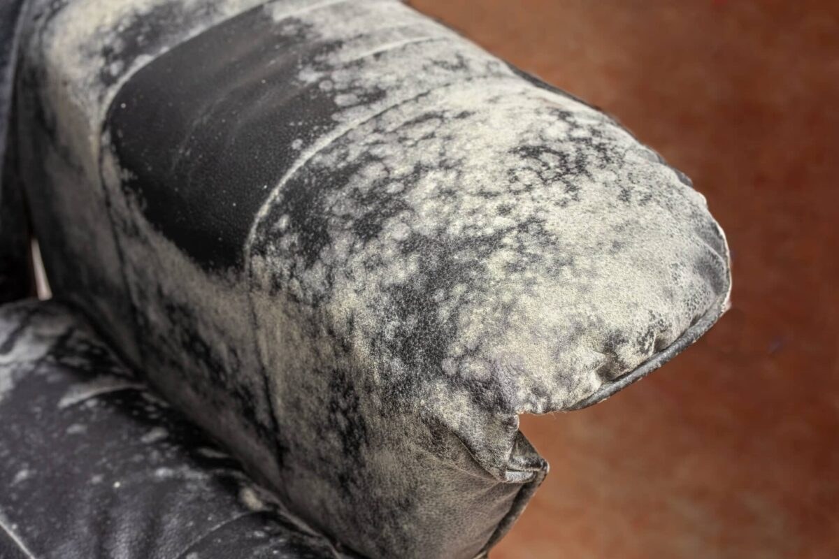 Smoke damage and mold removal from furniture in Round Lake after fire and water damage