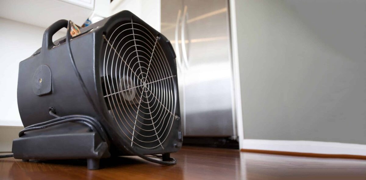 a close up of a fan